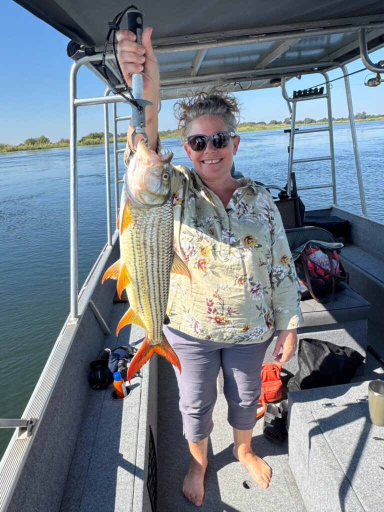 Guest with a tigerfish caught from the villa boat on the Okavango